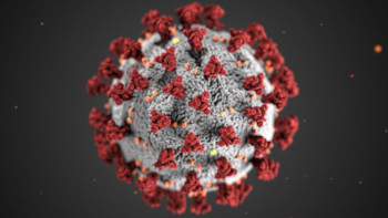 Global overview of COVID-19